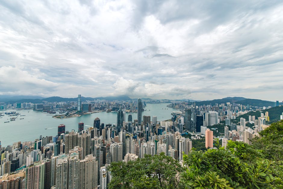 享受健康生活的秘密:Protein Shake香港的魅力