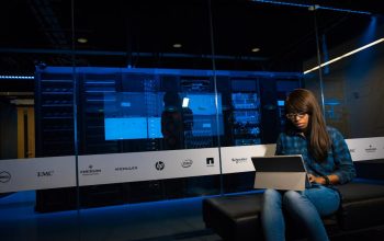 網上貸款即批：理性分析與解釋